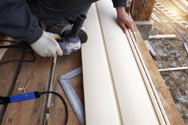 Best Fascia and Soffit Installation  in Eagleton Village, TN